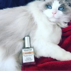 Demeter Kitten Fur EDC 30ml - Lore Perfumery 7 Demeter Kitten Fur EDC 30ml - Lore Perfumery -Home Fragrance 1125
