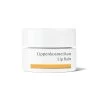 Dr. Hauschka Lip Balm 4.2g - Lore Perfumery -Home Fragrance 294