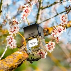 Original Collection Tardes EDP 100ml - Lore Perfumery 7 Original Collection Tardes EDP 100ml - Lore Perfumery -Home Fragrance carnerbarcelona tardes 100ml edp styled