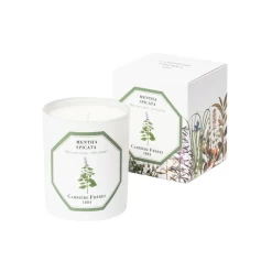 Spearmint Candle 185g - Lore Perfumery