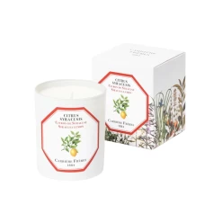 Siracusa Lemon Candle 185g - Lore Perfumery
