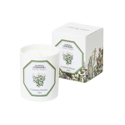 Verbena Candle 185g - Lore Perfumery