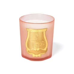 Tuileries Candle 270g - Lore Perfumery 7 Tuileries Candle 270g - Lore Perfumery -Home Fragrance cire trudon tuileries classic candle 270g 1