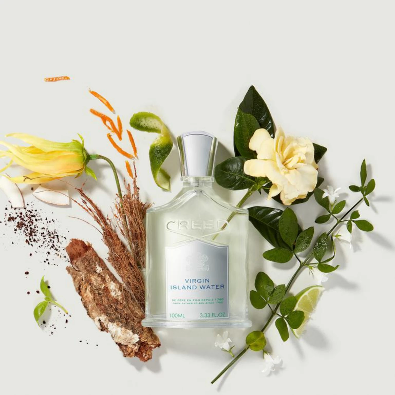 Creed Virgin Island Water EDP 100ml - Lore Perfumery 4 Creed Virgin Island Water EDP 100ml - Lore Perfumery - Image 2