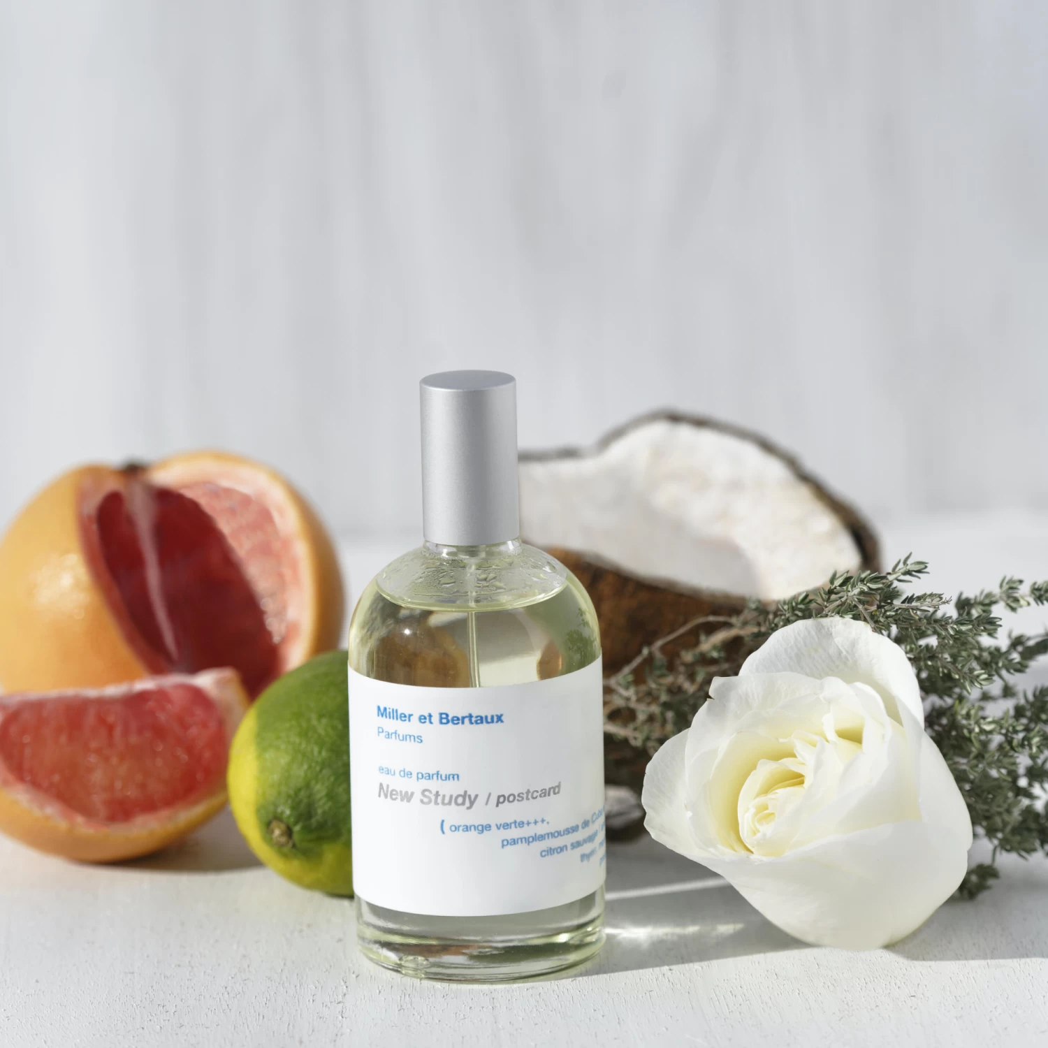 (New Study) Postcards EDP 100ml - Lore Perfumery 5 (New Study) Postcards EDP 100ml - Lore Perfumery - Image 3