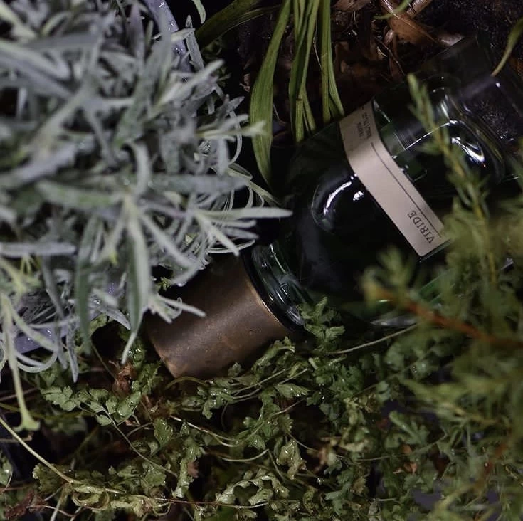 Viride Parfum Extract 50ml - Lore Perfumery 5 Viride Parfum Extract 50ml - Lore Perfumery - Image 3