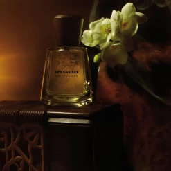 Speakeasy EDP 100ml - Lore Perfumery -Home Fragrance p frapin cie speakeasy edp 100ml styled